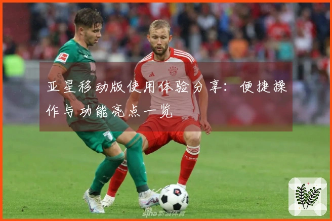 亚星移动版使用体验分享：便捷操作与功能亮点一览